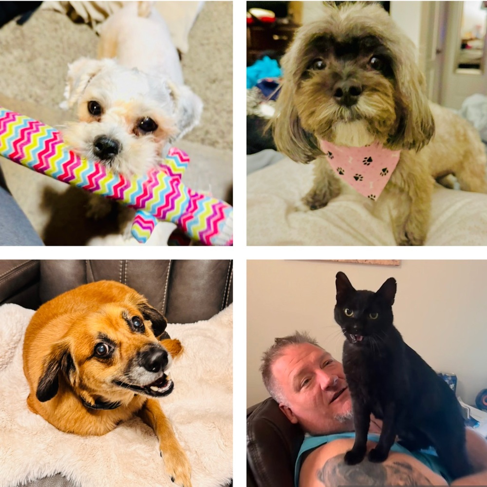 Follow: Fueled by” Coffee_n_Jesus is live!Saturdays @ 4:30pm pacific time - Picture 7 of 17